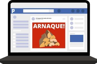 Attention à la vente de bois en ligne